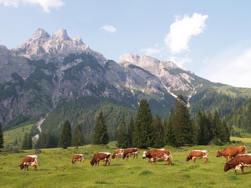 Ferienwohnungen Am Aja Bergresort Werfenweng Exteriér fotografie